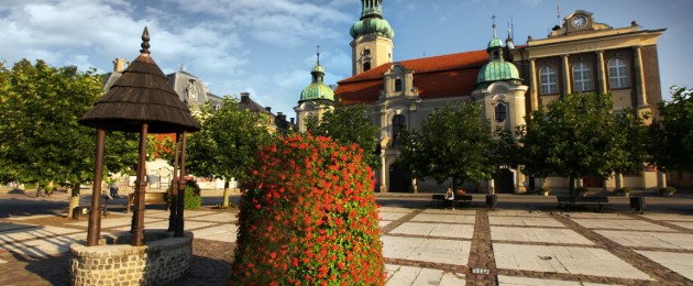 Kwitnący sposób na szarość