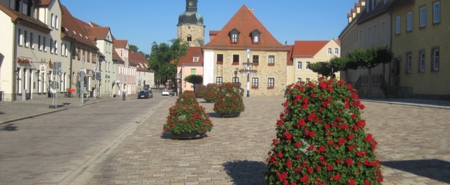 Stadtbepflanzung: effektvoll und effektiv