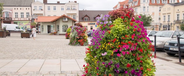 Jak ukwiecić rynek?