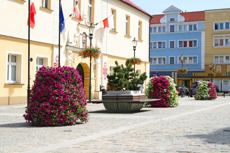 Żary